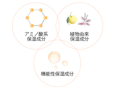 氨基酸類植物性成分 功能性保濕成分