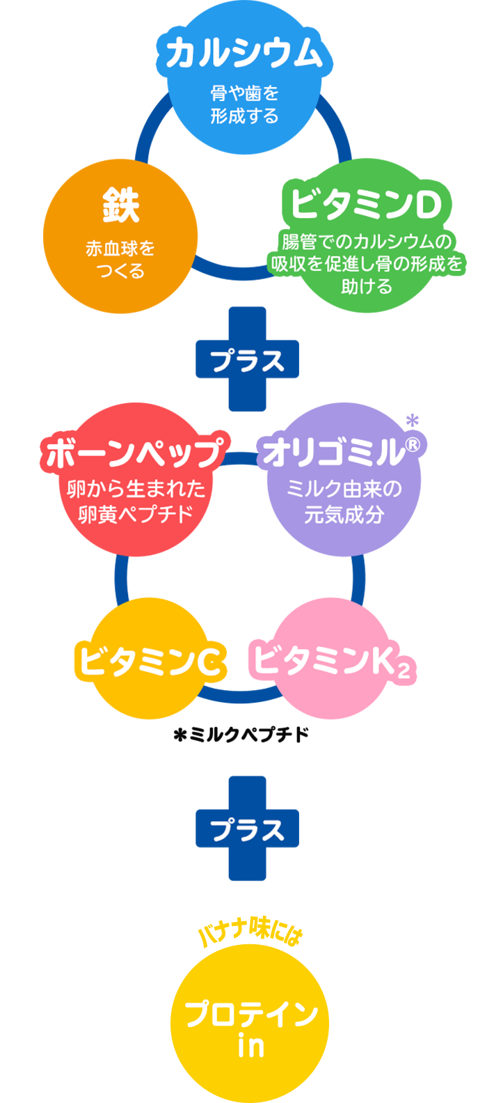 カルシウム・鉄・ビタミンDに加え、ボーンペップ・独自成分「オリゴミル」やビタミンC・ビタミンK2、バナナ味にはプロテインin