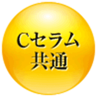 Cセラム共通