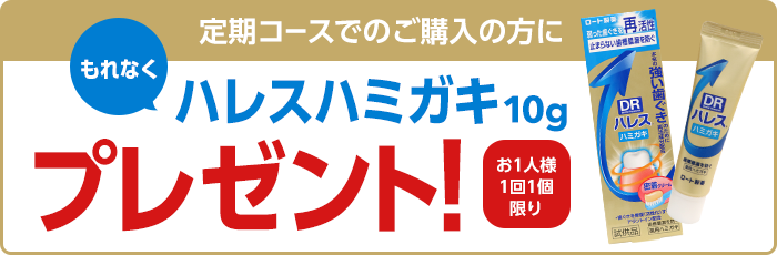 定期コースでのご購入の方にもれなくハレスハミガキ10gプレゼント(お1人様1回1個限り)