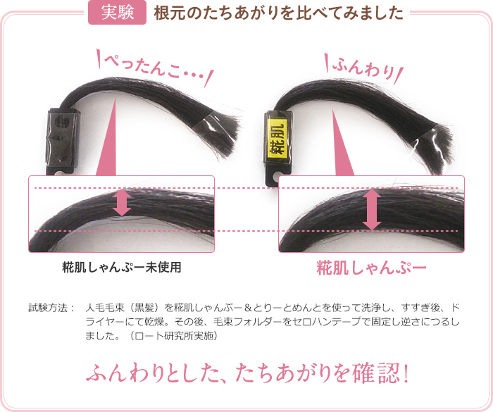 実験:根元のたちあがりを比べてみました。