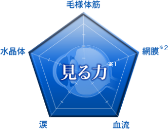 見る力を支える5つの要素