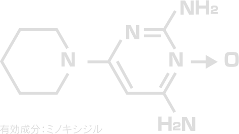 有効成分:ミノキシジル