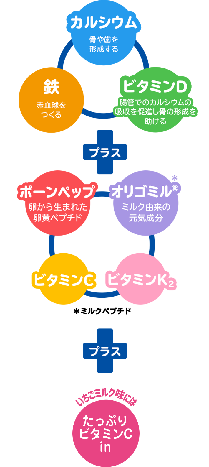 カルシウム・鉄・ビタミンDに加え、ボーンペップ・独自成分「オリゴミル」やビタミンC・ビタミンK2、いちごミルク味にはたっぷりビタミンCin