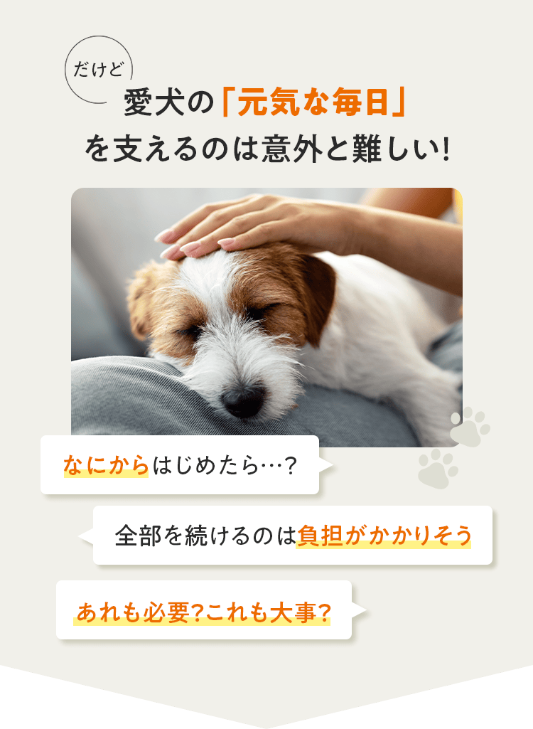 だけど愛犬の「元気な毎日」を支えるのは意外と難しい！ なにからはじめたら…？ 全部を続けるのは負担がかかりそう あれも必要？これも大事？