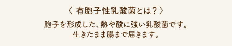 〈 有胞子性乳酸菌とは？〉胞子を形成した、熱や酸に強い乳酸菌です。生きたまま腸まで届きます。