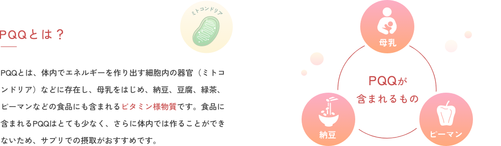 PQQとは？PQQとは、体内でエネルギーを作り出す細胞内の器官（ミトコンドリア）などに存在し、母乳をはじめ、納豆、豆腐、緑茶、ピーマンなどの食品にも含まれるビタミン様物質です。食品に含まれるPQQはとても少なく、さらに体内では作ることができないため、サプリでの摂取がおすすめです。PQQが
                  含まれるもの
                  母乳
                  納豆
                  ピーマン
                  