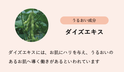 
                        うるおい成分
                        ダイズエキス
                        ダイズエキスには、お肌にハリを与え、うるおいのあるお肌へ導く働きがあるといわれています
                        