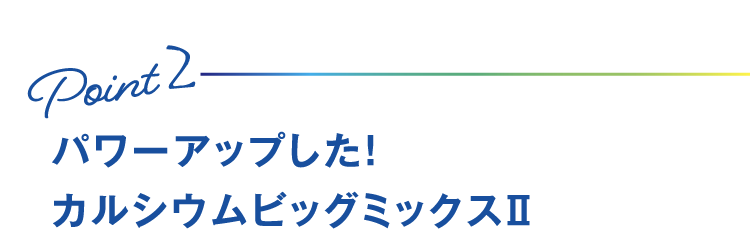 Point2 パワーアップした！カルシウムビッグミックス2