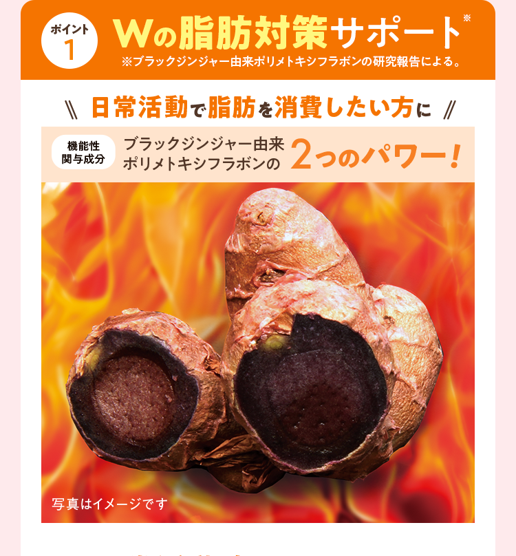 ポイント1 Wの脂肪対策サポート 日常活動で脂肪を消費したい方に 機能性関与成分ブラックジンジャー由来ポリメトキシフラボンの2つのパワー！