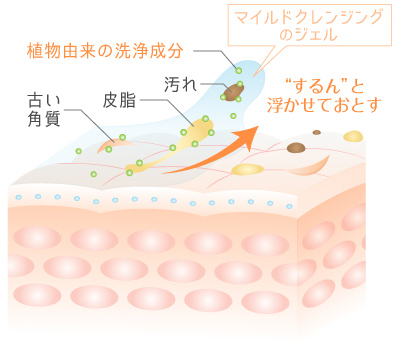 植物由来の洗浄成分