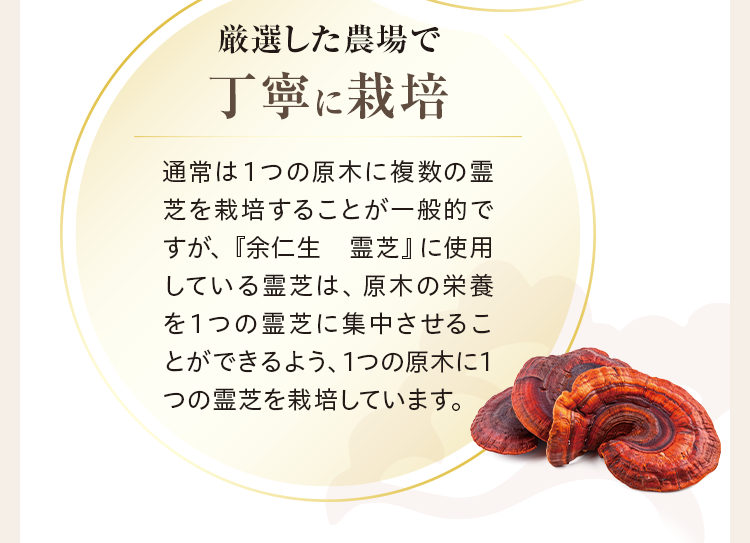 厳選した農場で丁寧に栽培