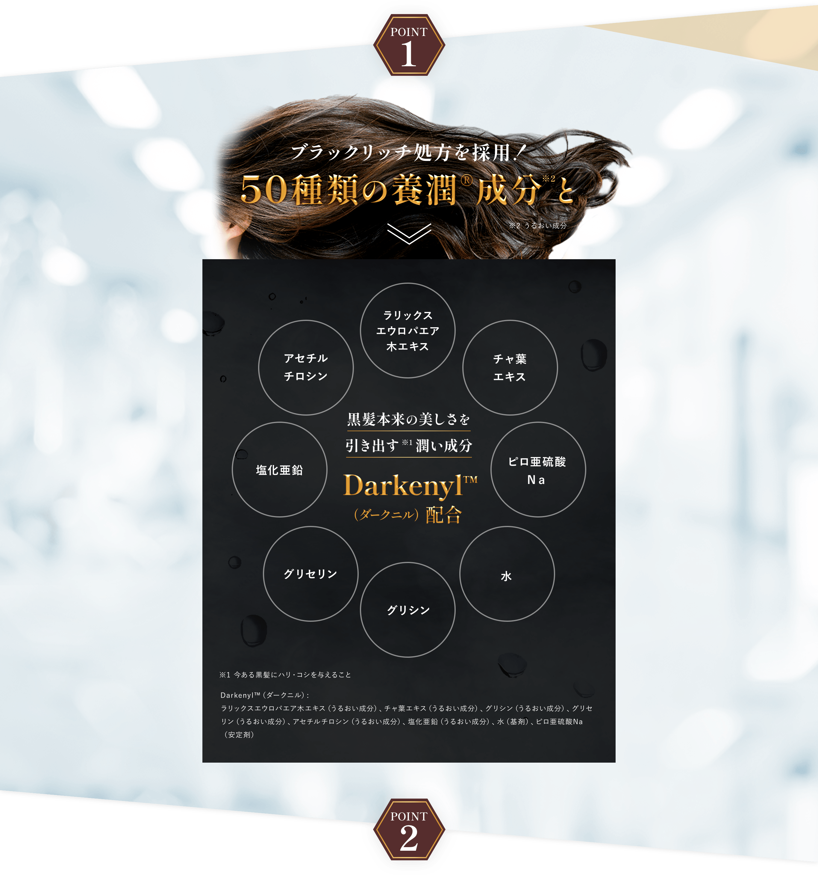 POINT 1 ブラックリッチ処方を採用!50種類の養潤®︎成分※2と ※2うるおい成分