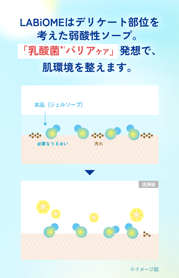 LABiOMEはデリケート部位を考えた弱酸性ソープ。 「乳酸菌★1バリアケア」発想で、肌環境を替えます。 ※イメージ図