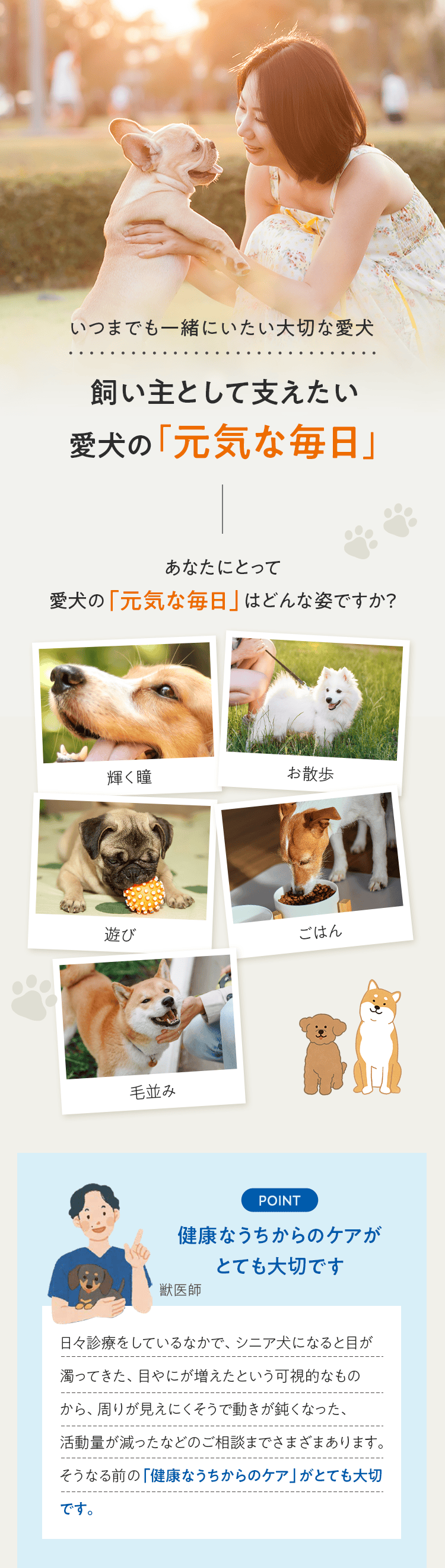 いつまでも一緒にいたい大切な愛犬 飼い主として支えたい愛犬の 「元気な毎日」 あなたにとって愛犬の「元気な毎日」はどんな姿ですか？ 輝く瞳 お散歩 遊び ごはん 毛並み POINT 健康なうちからのケアがとても大切です 獣医師 日々診療をしているなかで、シニア犬になると目が濁ってきた、目やにが増えたという可視的なものから、周りが見えにくそうで動きが鈍くなった、活動量が減ったなどのご相談までさまざまあります。そうなる前の「健康なうちからのケア」がとても大切です。