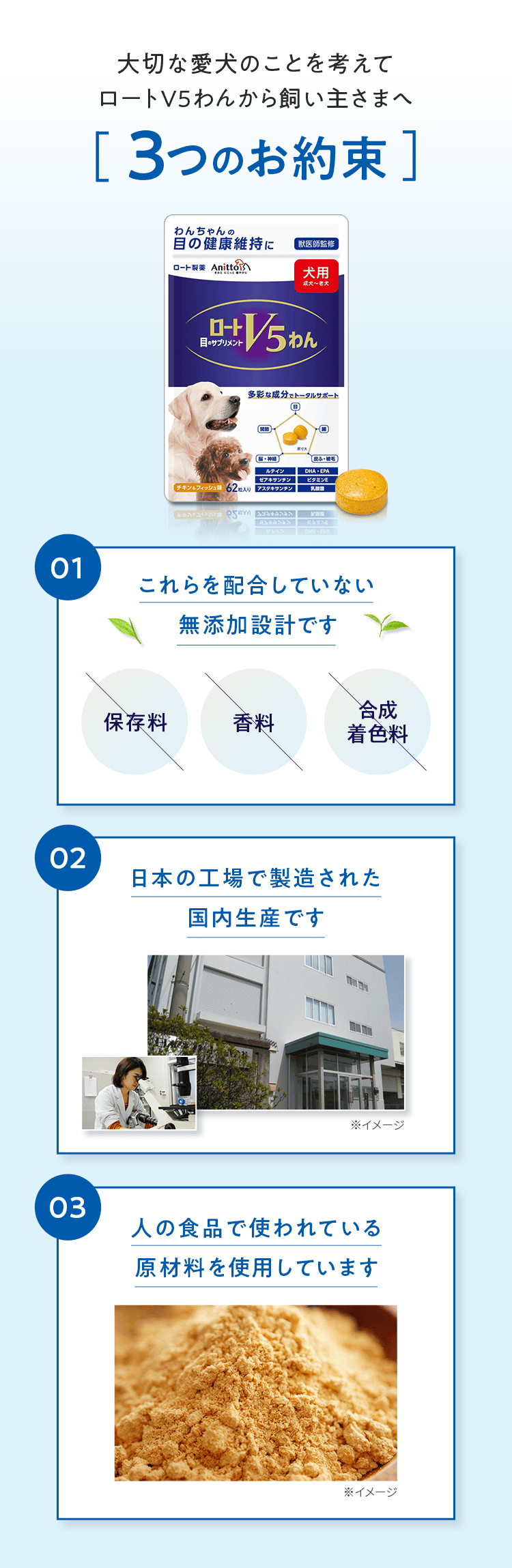 大切な愛犬のことを考えてロートV5わんから飼い主さまへ 3つのお約束 01 これらを配合していない 無添加設計です 保存料 香料 合成着色料 02 日本の工場で製造された国内生産です※イメージ 03 人の食品で使われている原材料を使用しています※イメージ