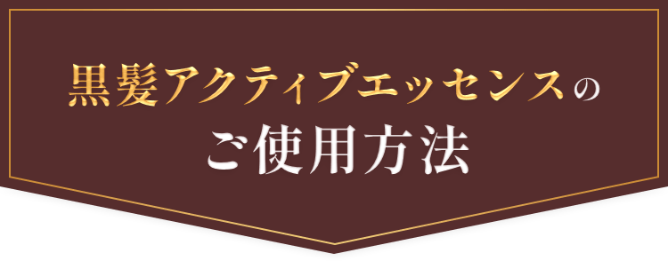 黒髪アクティブエッセンスのご使用方法