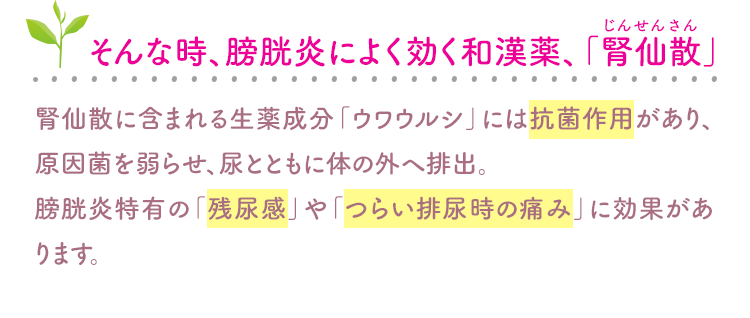 そんな時、膀胱炎によく効く和漢薬、「腎仙散」 腎仙散に含まれる生薬成分「ウワウルシ」には抗菌作用があり、原因菌を弱らせ、尿とともに体の外へ排出。膀胱炎特有の「残尿感」や「つらい排尿時の痛み」に効果があります。