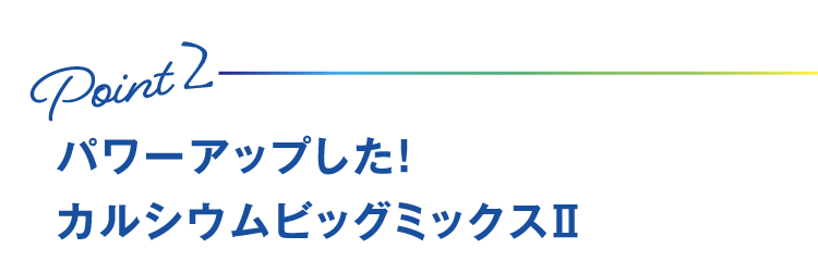 Point2 パワーアップした！カルシウムビッグミックス2