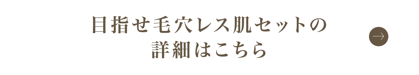 目指せ毛穴レス肌セットの詳細はこちら