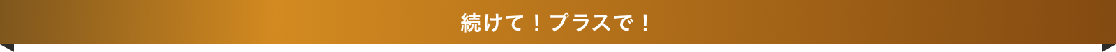 続けて！プラスで！おトクな定期