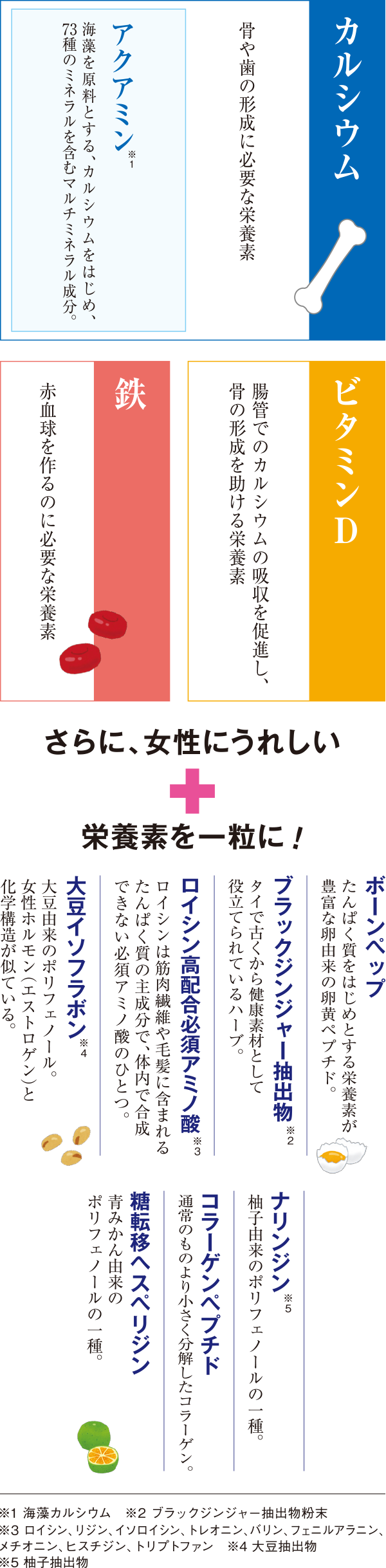 カルシウム：骨や歯の形成に必要な栄養素。アクアミン（海藻カルシウム）：海藻を原料とする、カルシウムをはじめ、73種のミネラルを含むマルチミネラル成分。ビタミンD：腸管でのカルシウムの吸収を促進し、骨の形成を助ける栄養素。鉄：赤血球を作るのに必要な栄養素。さらに、女性に嬉しい！栄養素を一粒に！ボーンペップ：たんぱく質をはじめとする栄養素が豊富な卵由来の卵黄ペプチド。ブラックジンジャー抽出物*1：タイで古くから健康素材として役立てられているハーブ。ロイシン高配合必須アミノ酸*2：ロイシンは筋肉繊維や毛髪に含まれるたんぱく質の主成分で、体内で合成できない必須アミノ酸のひとつ。大豆イソフラボン*3：大豆由来のポリフェノール。女性ホルモン（エストロゲン）と化学構造が似ている。
ナリンジン*4：柚子由来のポリフェノールの一種。コラーゲンペプチド：通常のものより小さく分解したコラーゲン。糖転移ヘスペリジン：青みかん由来のポリフェノールの一種。　＜注釈＞*1 ブラックジンジャー抽出物粉末。*2 ロイシン、リジン、イソロイシン、トレオニン、バリン、フェニルアラニン、メチオニン、ヒスチジン、トリプトファン。*3 大豆抽出物。*4 柚子抽出物