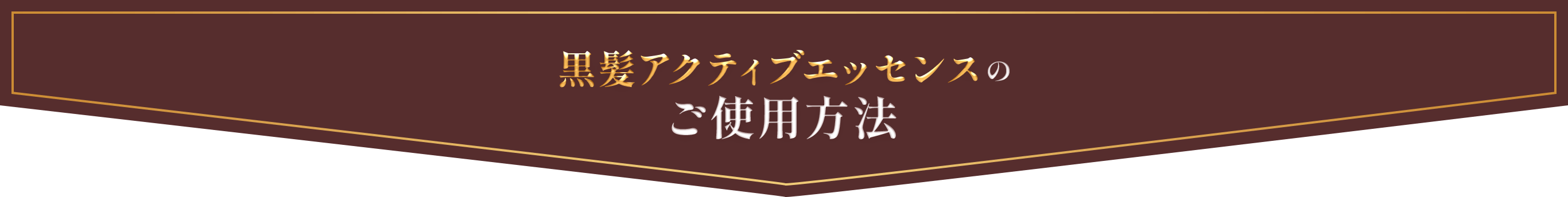 黒髪アクティブエッセンスのご使用方法