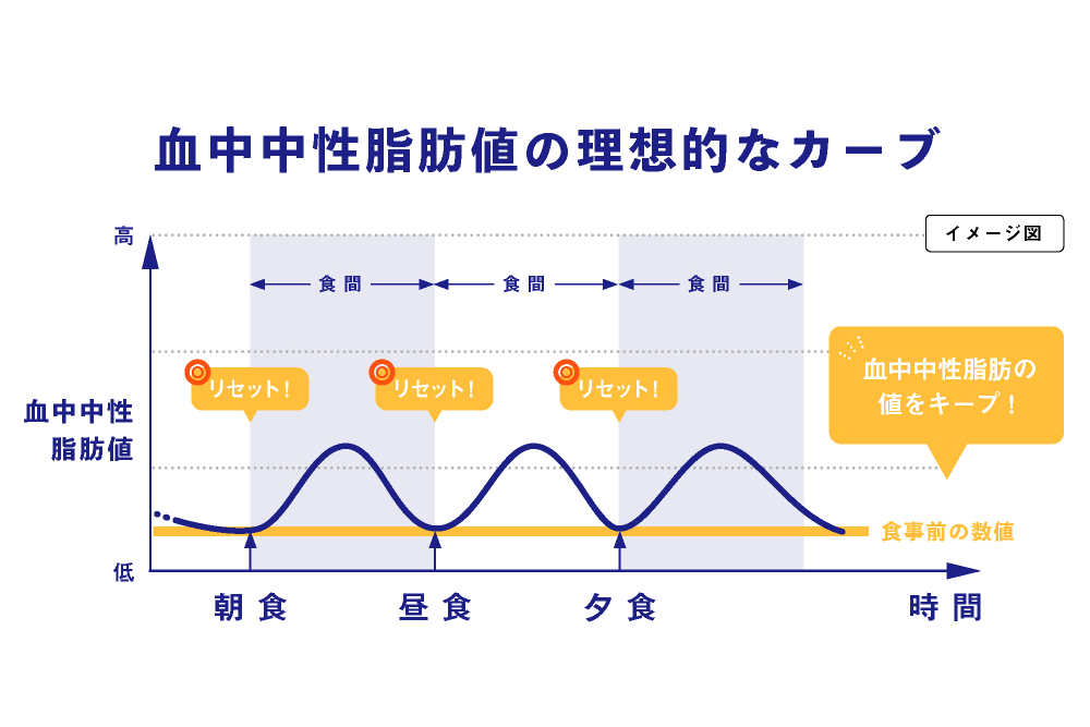 血中中性脂肪値の理想的なカーブ(イメージ図)