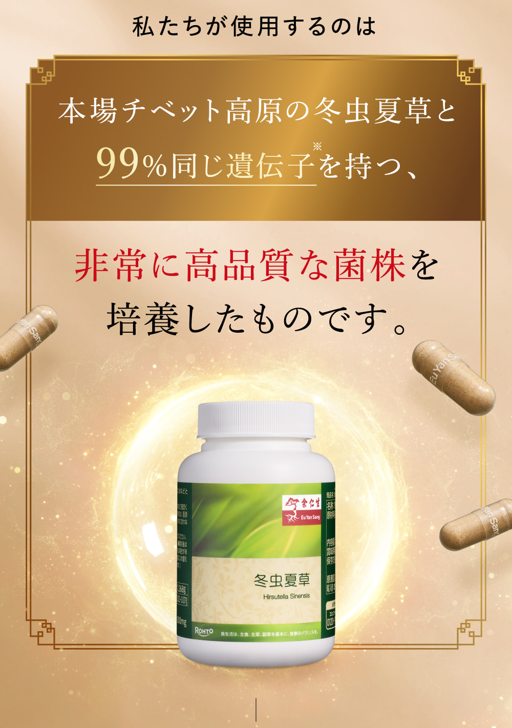 私たちが使用するのは本場チベット高原の冬虫夏草と99%同じ遺伝子を持つ、非常に高品質な菌株を培養したものです。