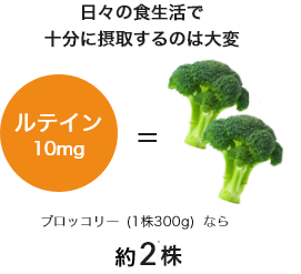 日々の食生活で十分に摂取するのは大変、ルテイン10mgはブロッコリー（1株200gなら）2.5株