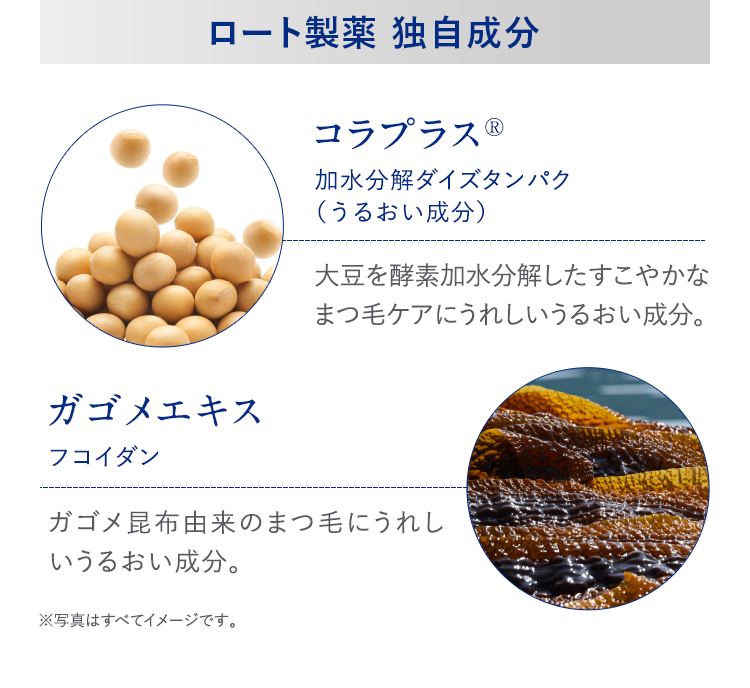 ロート製薬 独自成分 コラプラス® 加水分解ダイズタンパク(うるおい成分) 大豆を酵素加水分解したすこやかなまつ毛ケアにうれしいうるおい成分。 ガゴメエキス フコイダン ガゴメ昆布由来のまつ毛にうれしいうるおい成分。 ※写真はすべてイメージです。