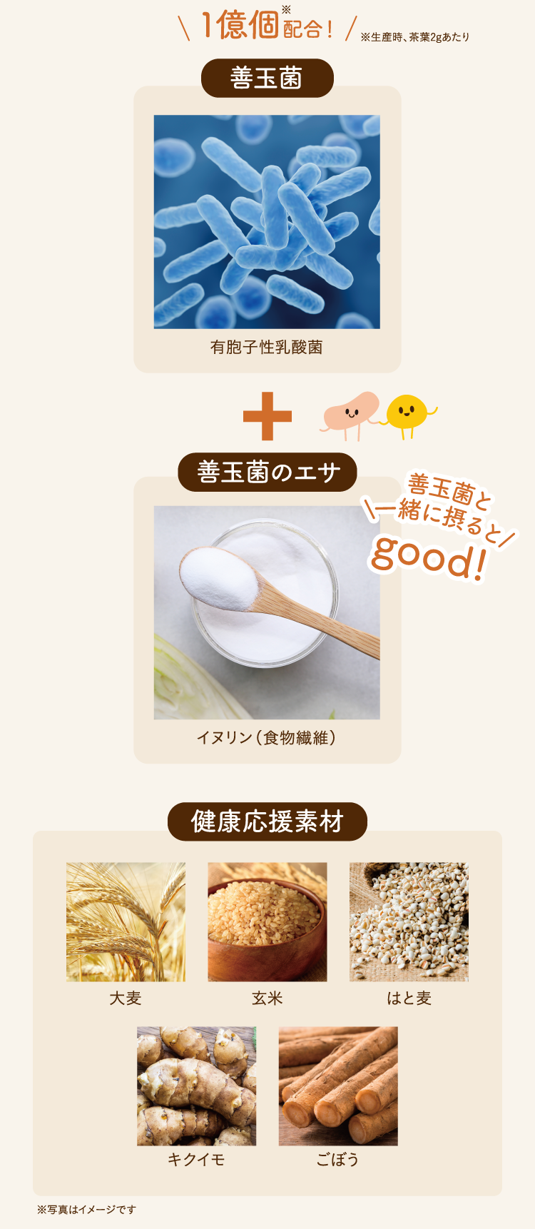 1億個配合！※生産時、茶葉2gあたり 善玉菌 有胞子性乳酸菌 善玉菌のエサ イヌリン（食物繊維） 善玉菌と\一緒に摂ると/good! 健康応援素材 ⼤⻨ 玄米 はと⻨ キクイモ ごぼう ※写真はイメージです