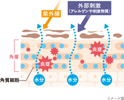 敏感肌