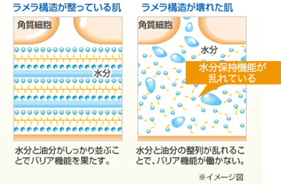 「ラメラ構造」図1