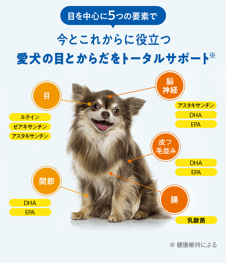 目を中心に5つの要素で 今とこれからに役立つ愛犬の目とからだをトータルサポート※ ※ 健康維持による 目 ルテイン ゼアキサンチン アスタキサンチン 脳神経 アスタキサンチン DHA EPA 皮フ 毛並み DHA EPA 腸 乳酸菌 関節 DHA EPA