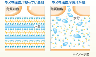 「ラメラ構造」図3