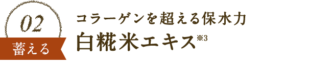 02 コラーゲンを超える保水力白糀米エキス
