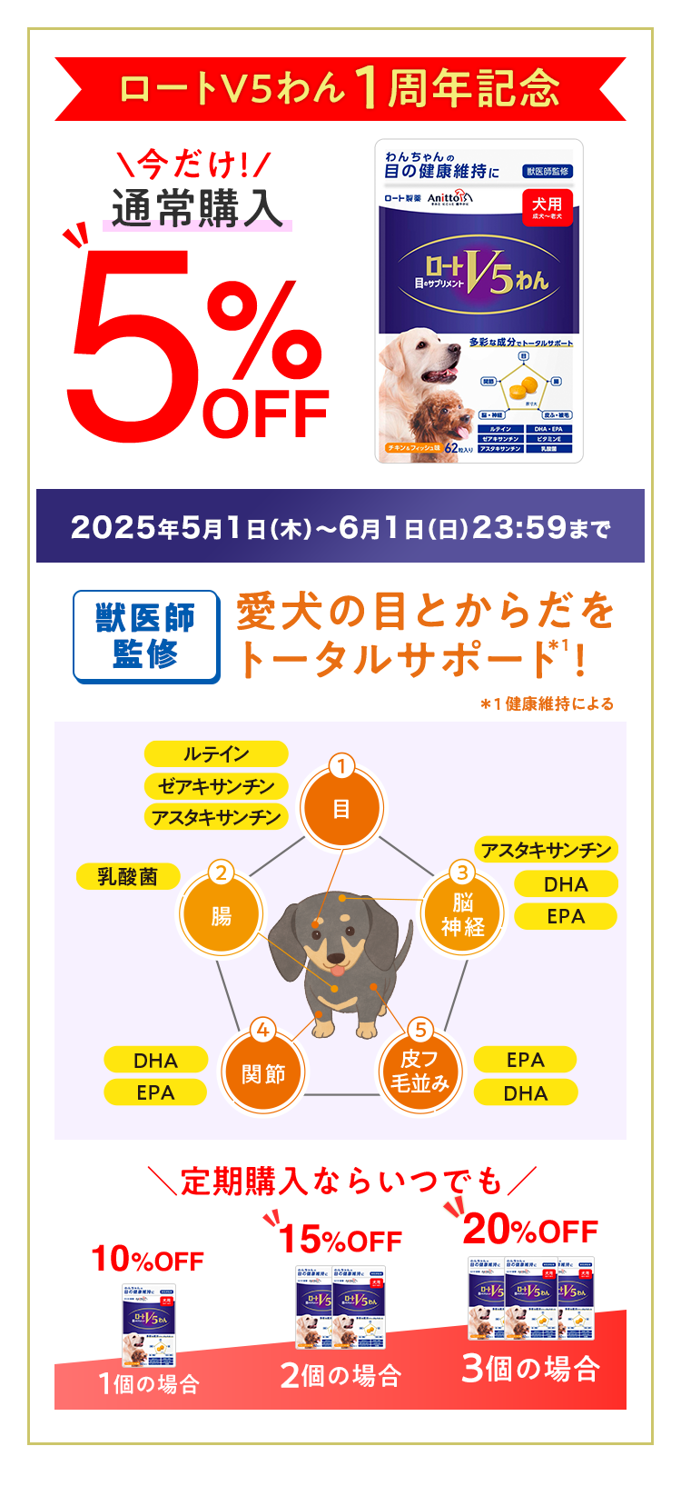 ロートV5わん1周年記念