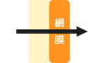 黄色の色素が減ると