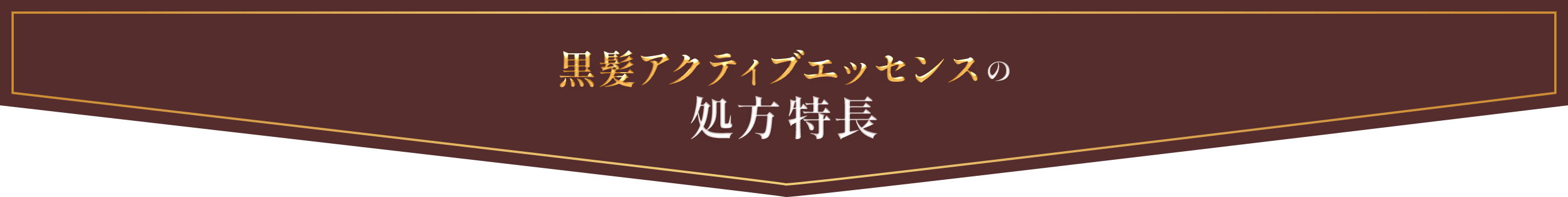 黒髪アクティブエッセンスの処方特長