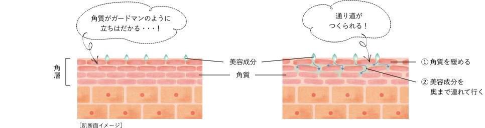 スマート浸透システム*肌の浸透体制を整えて、成分を角層のすみずみまで届ける