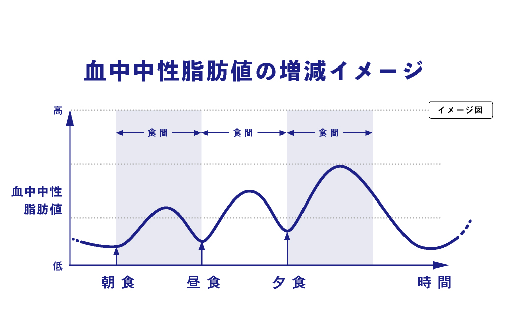 血中中性脂肪値の増減イメージ図