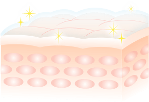 お肌がうるおった目安