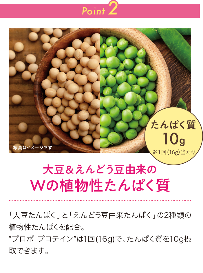 Point 2 大豆＆えんどう豆由来のWの植物性たんぱく質  アミノ酸バランスが良く、イソフラボンも含む「大豆たんぱく」とBCAA＊2やアルギニンなどの筋肉づくりをサポートするアミノ酸を多く含む＊3「えんどう豆由来たんぱく」をW配合。“プロポ プロテイン”は１回（16g）で、たんぱく質を10g摂取できます。