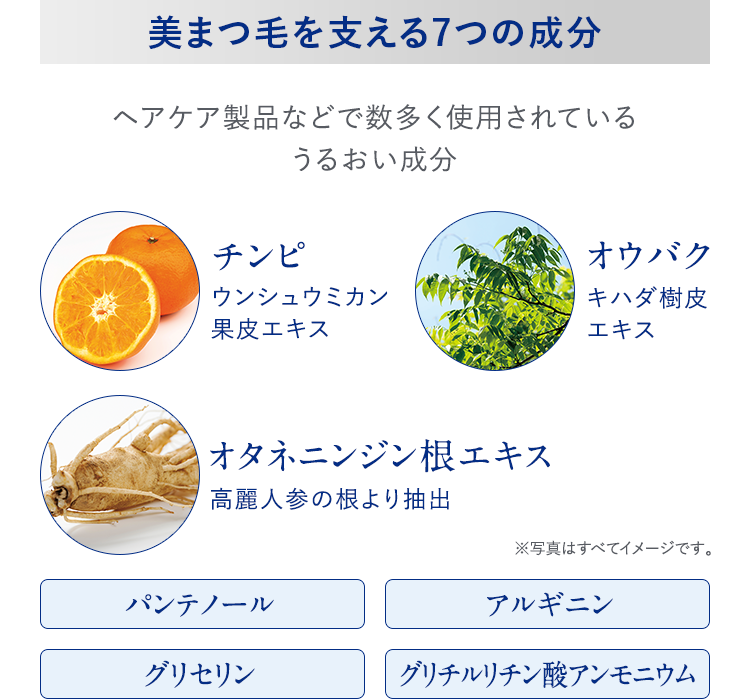 美まつ毛を支える7つの成分 ヘアケア製品などで数多く使用されているうるおい成分 チンピ ウンシュウミカン果皮エキス オウバク キハダ樹皮エキス オタネニンジン根エキス 高麗人参の根より抽出 パンテノール アルギニン グリセリン グリチルリチン酸アンモニウム ※写真はすべてイメージです。