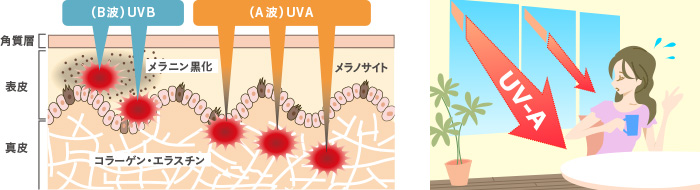 紫外線が肌にダメージを与えるイメージ