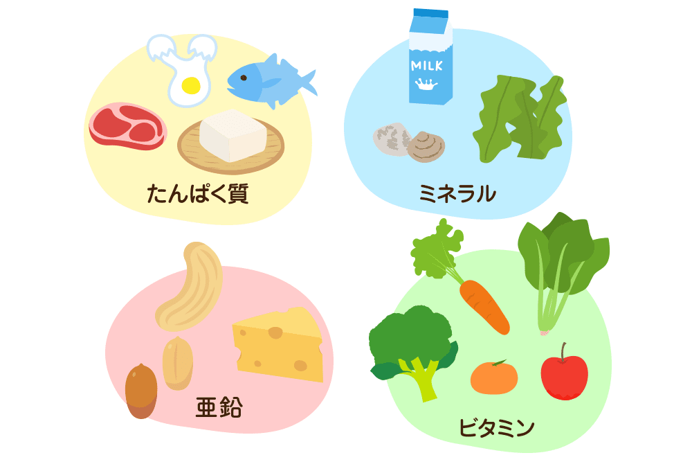 健康のためのブラックシードオイル