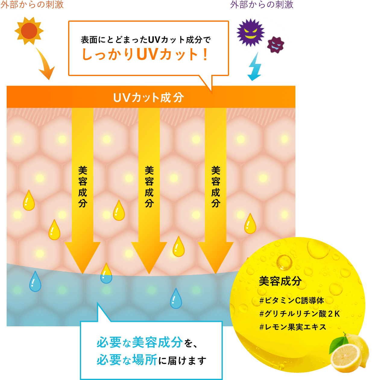 角質層イメージ図