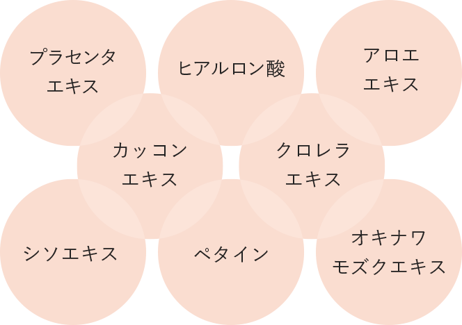 プラセンタエキス ヒアルロン酸 アロエエキス カッコンエキス クロレラエキス シソエキス ペタイン オキナワモズクエキス