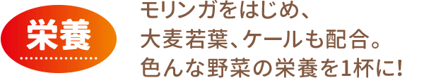 栄養：モリンガをはじめ、大麦若葉、ケールも配合。色んな野菜の栄養を1杯に！